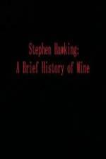 Watch Stephen Hawking A Brief History of Mine Wootly