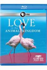 Watch Nature: Love in the Animal Kingdom Wootly