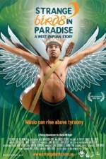 Watch Strange Birds in Paradise A West Papuan Story Wootly