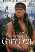 Watch Grey Owl Wootly