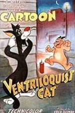 Watch Ventriloquist Cat Wootly