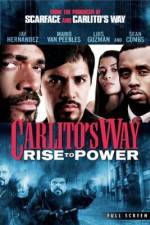 Watch Carlito's Way: Rise to Power Wootly