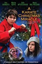 Watch A Karate Christmas Miracle Wootly