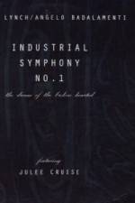 Watch Industrial Symphony No 1 The Dream of the Brokenhearted Wootly