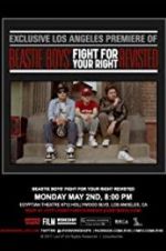 Watch Beastie Boys: Fight for Your Right Revisited Wootly