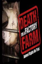 Watch Death on a Factory Farm Wootly