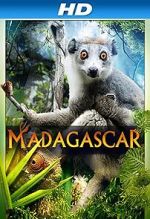 Watch Madagascar 3D Wootly