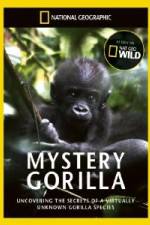 Watch National Geographic Mystery Gorilla Wootly