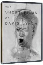 Watch The Short Films of David Lynch Wootly