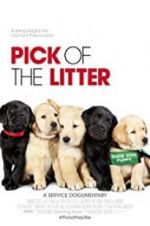 Watch Pick of the Litter Wootly