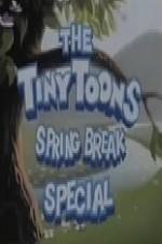 Watch Tiny Toons Spring Break Wootly