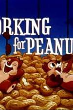 Watch Working For Peanuts Wootly