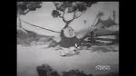 Watch Fish Tales (Short 1936) Wootly