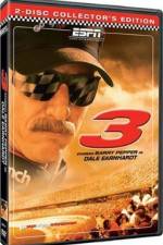 Watch 3 The Dale Earnhardt Story Wootly