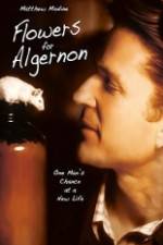 Watch Flowers for Algernon Wootly