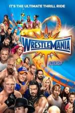 Watch WWE WrestleMania 33 Wootly