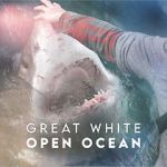 Watch Great White Open Ocean Wootly