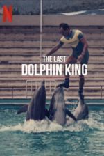 Watch The Last Dolphin King Wootly