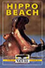 Watch PBS Nature - Hippo Beach Wootly