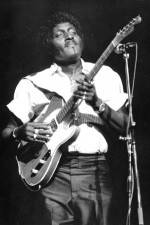 Watch Albert Collins in Concert Wootly