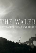 Watch The Waler: Australia\'s Great War Horse Wootly