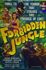 Watch Forbidden Jungle Wootly