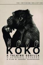 Watch Koko, le gorille qui parle Wootly