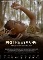 Watch Fig Tree Wootly