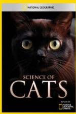 Watch National Geographic Science of Cats Wootly