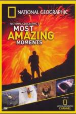 Watch National Geographics Most Amazing Moments Wootly