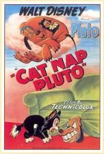 Watch Cat Nap Pluto Wootly