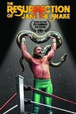 Watch The Resurrection of Jake The Snake Roberts Wootly