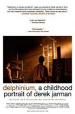 Watch Delphinium: A Childhood Portrait of Derek Jarman Wootly