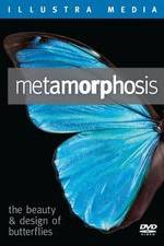 Watch Metamorphosis: The Beauty and Design of Butterflies Wootly