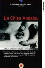 Watch Un chien andalou Wootly