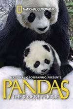 Watch Pandas: The Journey Home Wootly