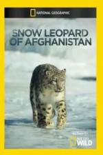 Watch Snow Leopard of Afghanistan Wootly