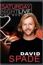 Watch Saturday Night Live The Best of David Spade Wootly