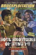 Watch Soul Brothers of Kung Fu Wootly