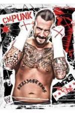 Watch WWE CM Punk - Best in the World Wootly