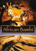 Watch African Bambi Wootly