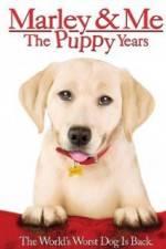 Watch Marley and Me The Puppy Years Wootly