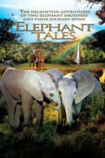 Watch Elephant Tales Wootly