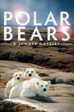 Watch Polar Bears: A Summer Odyssey Wootly