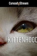 Watch Kittenhood Wootly