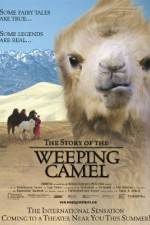 Watch The Story of the Weeping Camel Wootly