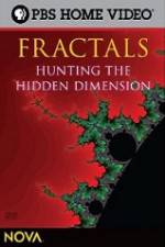 Watch NOVA - Fractals Hunting the Hidden Dimension Wootly