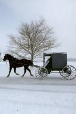 Watch Leaving Amish Paradise Wootly