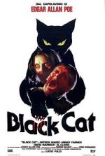 Watch The Black Cat Wootly