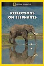 Watch Reflections on Elephants Wootly